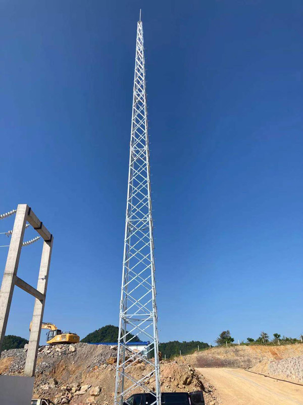 MSFJ-01�ĽǱ�����